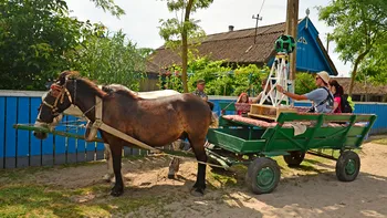 Google îți arată Delta Dunării prin Street View pe Google Maps