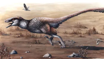 Cât măsoară cele mai mici urme de dinozaur descoperite vreodată