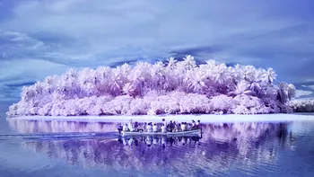 Fotografii deosebite cu paradisul pierdut din Insula Daltoniștilor
