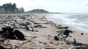Cât plastic mâncăm, din cauza poluării: cantitatea este șocantă