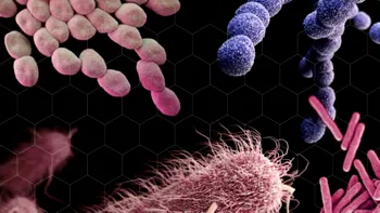 Prima linie de apărare a bebelușului: Cum Bifidobacterium longum ajută la protejarea sănătății din prima zi de viață, conform specialiștilor
