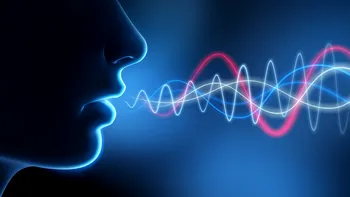 Performanța românilor de la Măgurele: autentificarea vocală în română