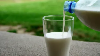 Cum poți păstra laptele proaspăt fără pasteurizare
