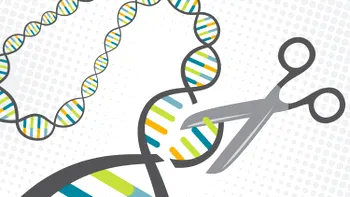 Universul genetic perturbat de Microsoft Excel: de ce a devenit o sursă de stres
