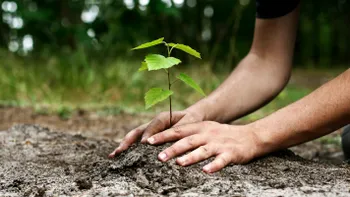 Pământul este mai verde ca acum 20 de ani, dar nu e neapărat de bine