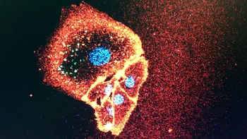 Descoperirea care ne arată că orice virus gripal ar putea fi tratat rapid