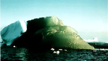 Care este explicația pentru ghețarii verzi din Antarctica