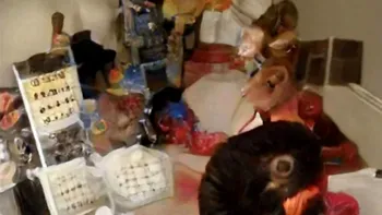 Fotografia care a înnebunit internetul și pe care nimeni nu o poate desluși