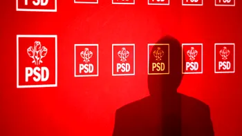 Cine este ”o curcă securistă și urâtă cu spume”: liderul PSD care te învață ”limbaj de cartier”