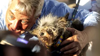 Cel mai urât câine din lume o să te facă să-ți apreciezi mai mult animalul de casă