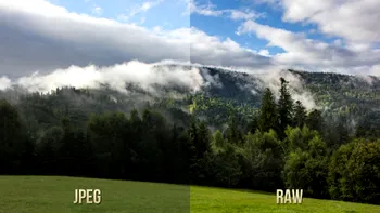Cum deschizi fotografii în format RAW pe Windows 10, fără Photoshop