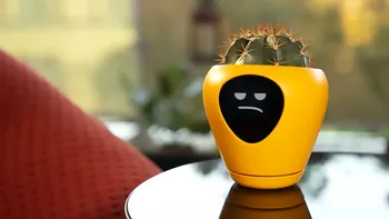 Tamagotchi, reinventat: un ghiveci smart îți arată starea plantelor din casă