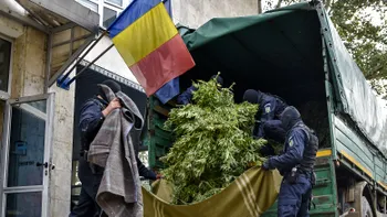 Liber la canabis în România? Da, dar nu chiar. UE a decis ce se poate face