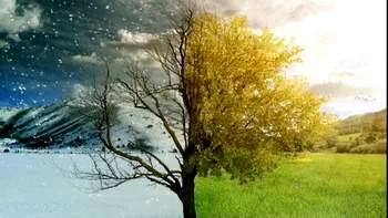 Încălzirea globală cu un fenomen meteo extrem: de la 28 grade la ninsoare