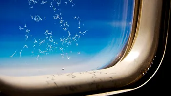 De ce toate avioanele au găuri în geamuri și de ce să nu te sperii