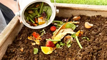 România săracă și risipitoare: câte tone de alimente ajung zilnic la gunoi