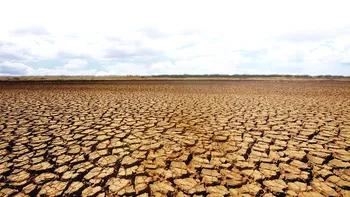 Care este impactul schimbărilor climatice asupra economiei mondiale