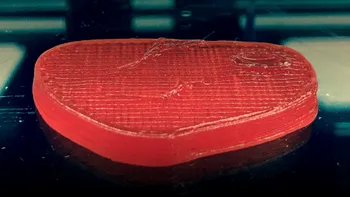 Carnea printată 3D pe care nu o deosebești de cea reală