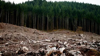 România, pusă la colț din cauza poluării: ce (nu) a făcut Guvernul