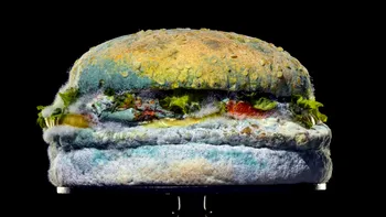 Reclama la Burger King de la care ți s-ar putea face rău: de ce trebuie să vezi mucegai
