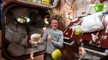Cum se feresc de microbi astronauții de pe Stația Spațială Internațională