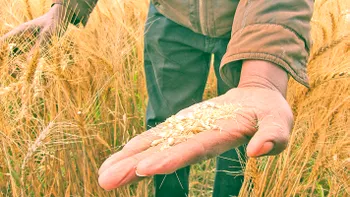 Dezastru pentru România: seceta de acum îi face pe agricultori să se teamă că va fi ca cea din 1947