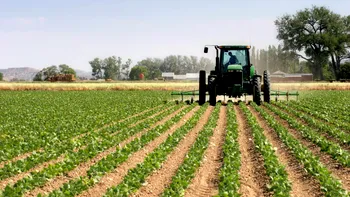 Fermierii români, acces facil la fonduri europene: 15 milioane de euro disponibile