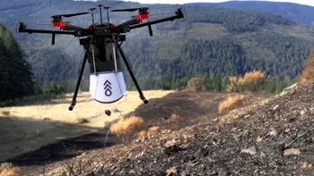 Dronele care vor planta un miliard de copaci: cum funcționează procedura 