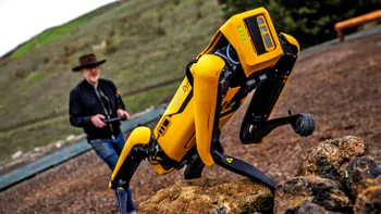 Câinele-robot care poate fi cumpărat la preț mai mic decât dai pe-o mașină Tesla