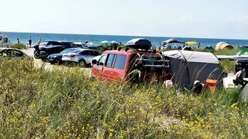 Biosfera Deltei Dunării, victimă colaterală a pandemiei: ce au făcut românii care își doreau ”izolarea”