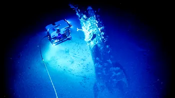 Descoperirea deosebită din adâncul oceanelor: cum se feresc acești pești de prădători