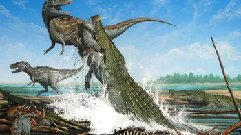 Animalul care putea vâna dinozauri a supraviețuit sub o formă similară până în prezent