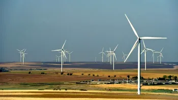 Soluția extrem de simplă prin care turbinele eoliene pot să nu mai fie letale păsărilor