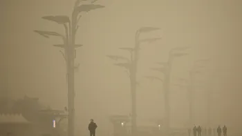 Limitarea deplasării din timpul pandemiei a dat lumii cea mai puternică lecție când vine vorba de climă