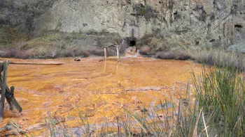 Procesul prin care ar putea fi obținute minerale valoroase din reziduurile miniere