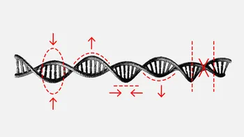 Cum funcționează primul instrument de editare genetică ce vizează celule specifice