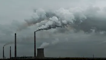 Impact dezastruos al poluării: cum ajunge să ne distrugă vederea
