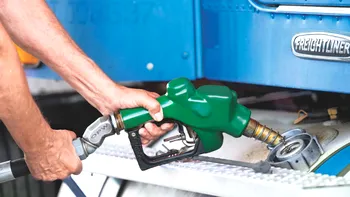 Acest burete microscopic transformă uleiul de gătit în biodiesel - și o face ieftin