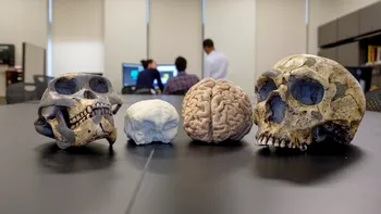 Cel mai ciudat efect pe care fericirea îl are asupra creierului