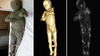 Ce au descoperit oamenii de știință în creierul unui om mort de două milenii