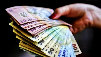 Un nou ajutor financiar de la Guvern, votat: cine se mai bucură de microgranturi