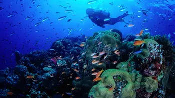 Cum ar putea cartografierea să salveze viitorul oceanelor noastre