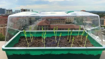 Solul care se udă singur ar putea transforma agricultura