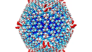 Un virus modificat ar putea combate unele tipuri de cancer avansat