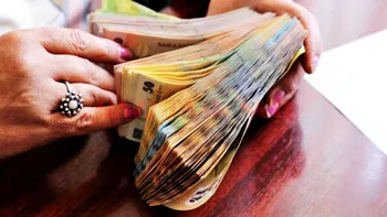 Afacerea care duduie în pandemie. Curg banii în acest domeniu