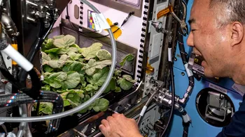 NASA a dezvăluit grădinile din spațiu. Ce experimente fac astronauții pe Stația Spațială Internațională