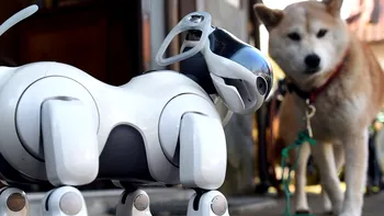 Următorul tău animal de companie poate fi un robot și aceste răspunsuri îți arată de ce