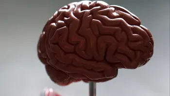 Cercetătorii au creat „mini creiere umane” în microcipuri tipărite 3D. Cum va ajuta medicina un asemenea creier artificial