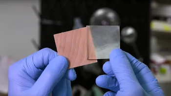 Lemnul transparent poate deveni mai translucid. Cum pot ajuta citricele la procedură