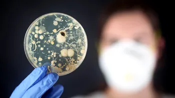 Acest antibiotic distruge bacteriile letale. Cum funcționează și cum poate fi îmbunătățit
